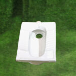 Asian Toilet (ORISSA PAN)